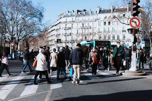 Quel est le rôle des transports dans la pollution atmosphérique ?